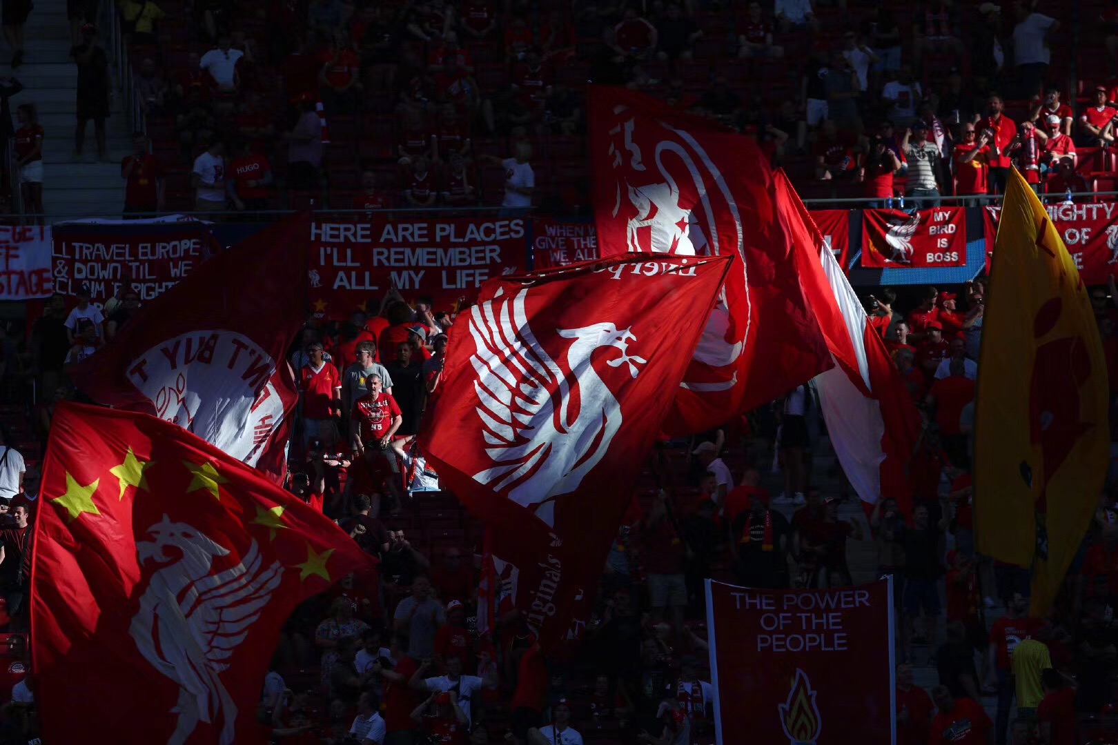 瓦科拿最佳不得人心？鲁谜怒斥名记：不投票自己人，却投泰山苦主（瓦科当选最佳遭质疑？鲁谜怒批名记：弃投自家人却力挺泰山苦主）